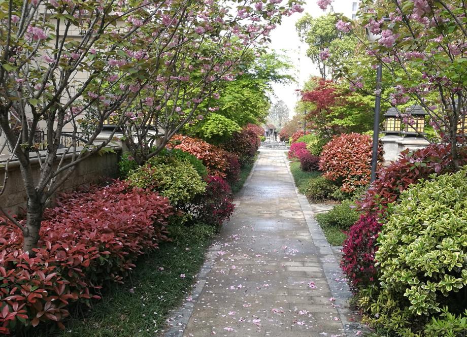 襄陽(yáng)園林工程 襄陽(yáng)園林工程