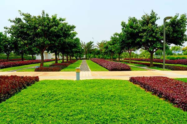 園林綠化中幾何色塊的出“彩”設(shè)計(jì)