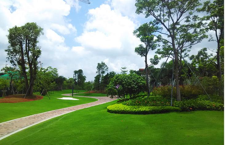 園林干貨│綠化施工流程說明，一定要看！