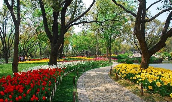 雪后，對受“硬傷”和“軟傷”的苗木 怎么養護