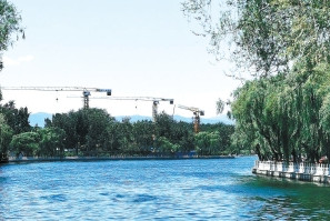 湖北凱蒂園林分享十種超耐寒的開花植物，不怕凍傷！ 