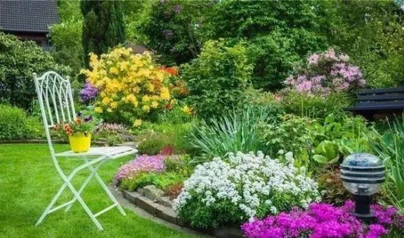 這幾招，搞定庭院植物搭配