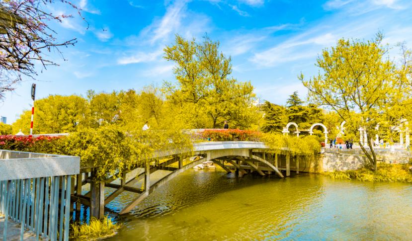 秋季關于園林綠化養護專業知識 ，你知道多少？