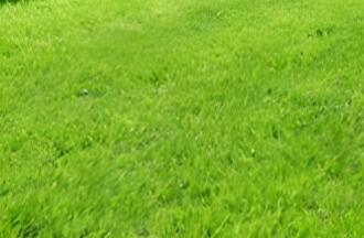 依其用途，草坪可分為幾類呢？