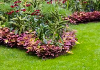 園林景觀設(shè)計(jì)，要注意什么事項(xiàng)呢？